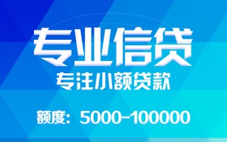 上海无抵押应急贷款-上海无抵押贷款信用贷款-上海无抵押哪里可以借私借